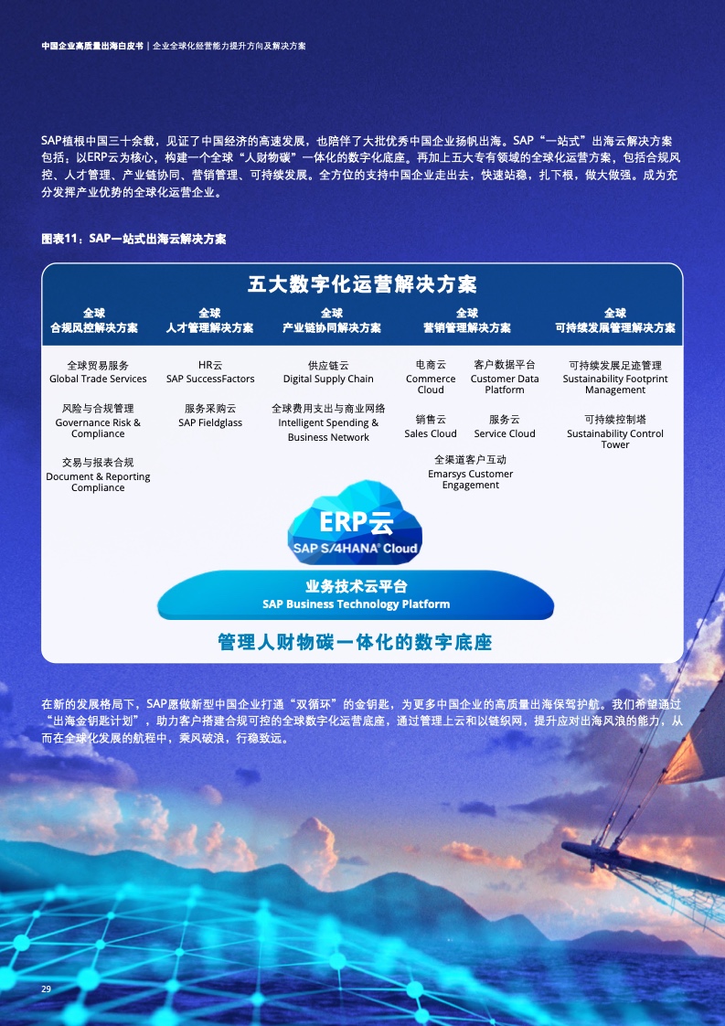 新型中國企業(yè)高質(zhì)量出海白皮書(圖32)
