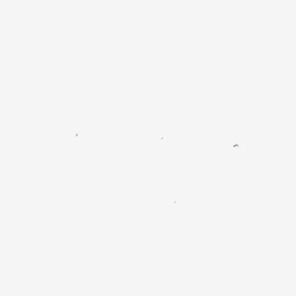 5000字干貨！UX/UI 領(lǐng)域 2024 年設(shè)計(jì)趨勢(shì)重磅發(fā)布